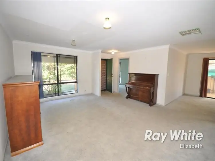 Fifth view of Homely house listing, 43 Jacaranda Drive, Craigmore SA 5114