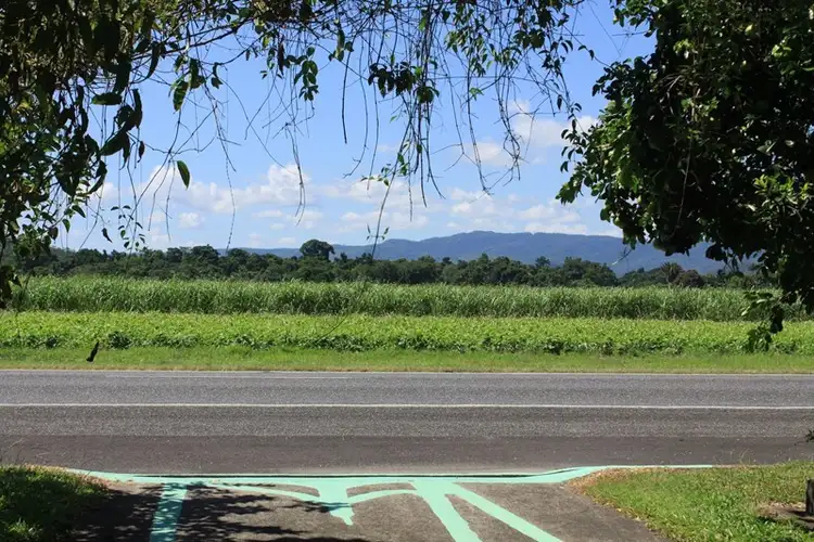 Third view of Homely house listing, 23 Cedars Street, Mossman QLD 4873