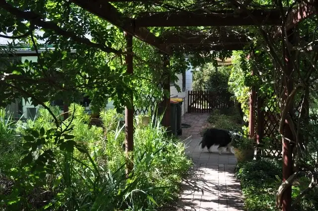 Fourth view of Homely house listing, 10 Loftus Street, Eugowra NSW 2806