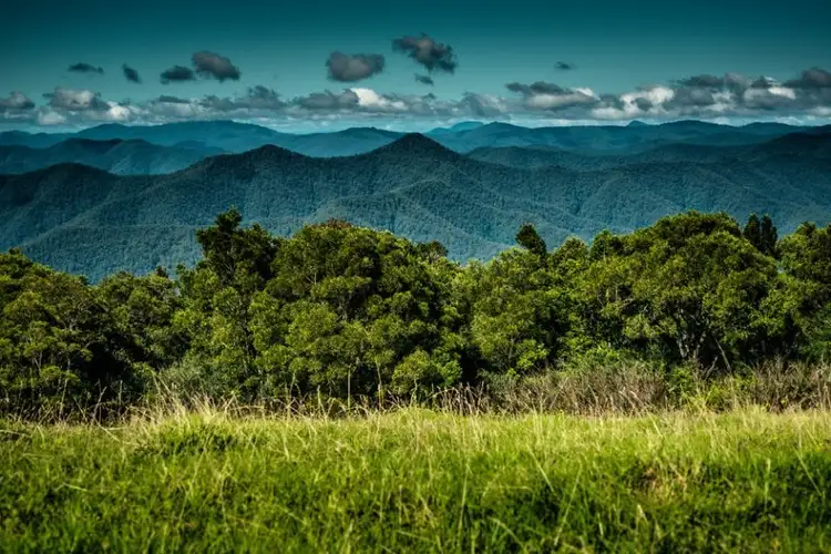 Second view of Homely rural property listing, 731 Maynards Plains Road, Dorrigo NSW 2453