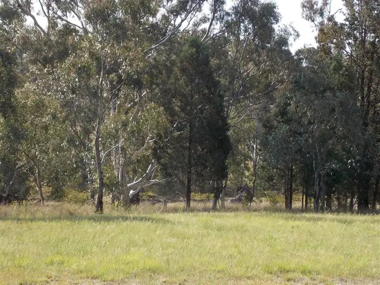 Seventh view of Homely rural property listing, 595 Bindogundra Road, Parkes NSW 2870