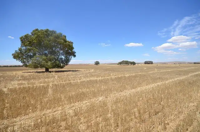 Fifth view of Homely rural property listing, "Bills" Farrell Flat Road, Farrell Flat SA 5416