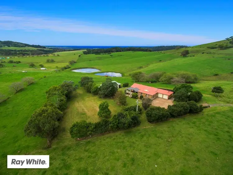 Main view of Homely house listing, 1252 Jamberoo Road, Jamberoo NSW 2533