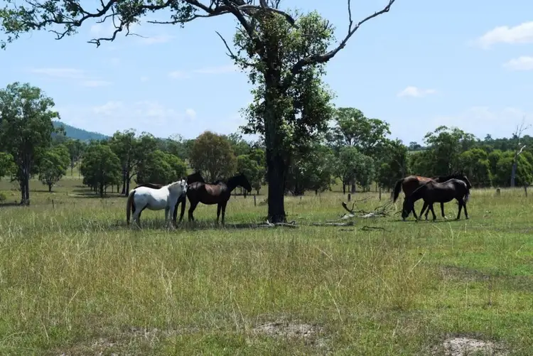 Second view of Homely rural property listing, 148 Dead Horse Lane, Toogoolawah QLD 4313