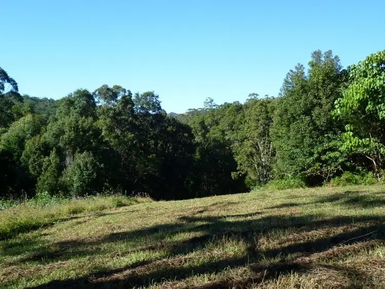 Seventh view of Homely rural property listing, 383 Zara Road, Tyalgum NSW 2484