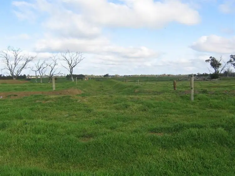 Third view of Homely rural property listing, - Thomas Road, Dingee VIC 3571