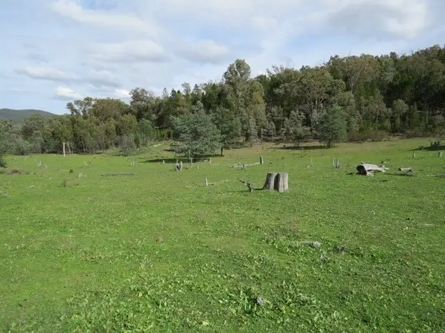 Fifth view of Homely rural property listing, Lot 5/1815 Kangarooby Road, Gooloogong NSW 2805