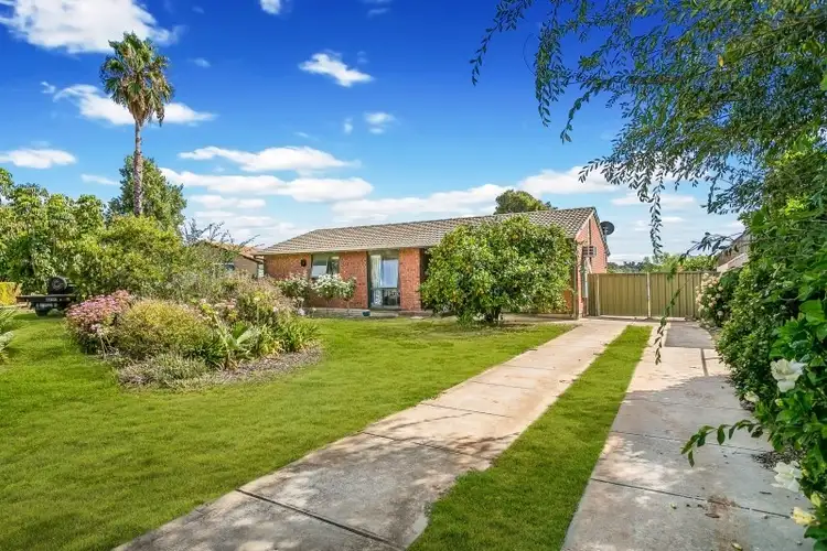 Second view of Homely house listing, 11 Valetta Court, Parafield Gardens SA 5107