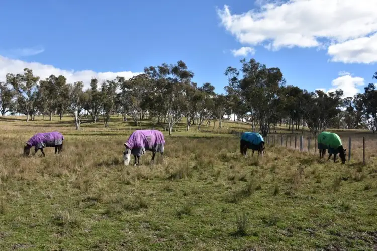 849 New England Highway, Glen Innes NSW 2370