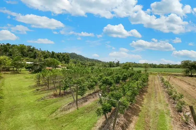 Sixth view of Homely house listing, 492 East Feluga Road, East Feluga QLD 4854