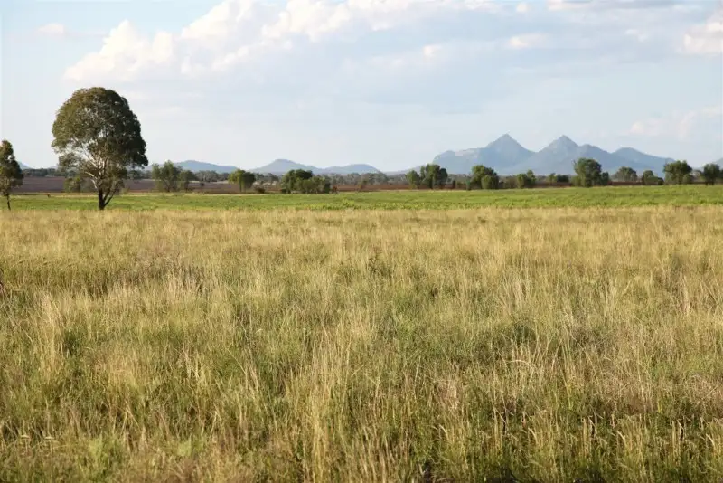 Main view of Homely rural property listing, 1140 Crinum Road, Capella QLD 4723