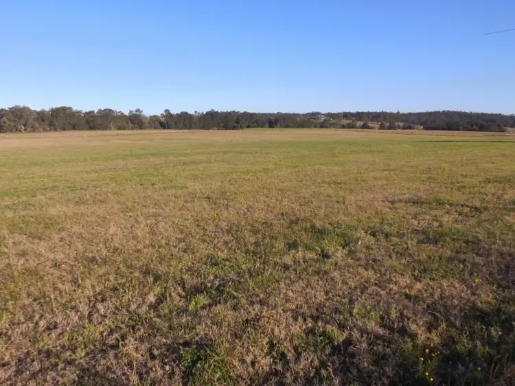 Fifth view of Homely rural property listing, Lot 3 Thomas Lane, Singleton NSW 2330