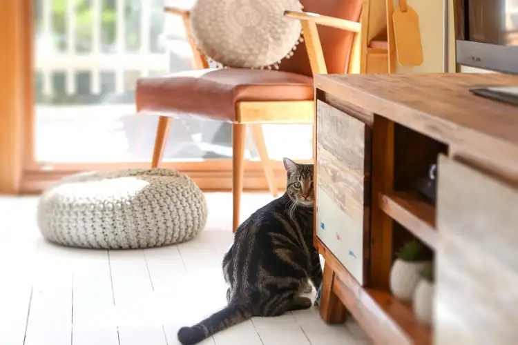 Fourth view of Homely house listing, 75 High View Road, Pretty Beach NSW 2257