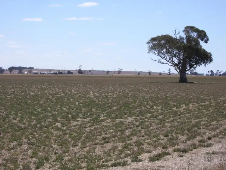 Sixth view of Homely rural property listing, "Rosedale" Rowney Road, Mundulla SA 5270