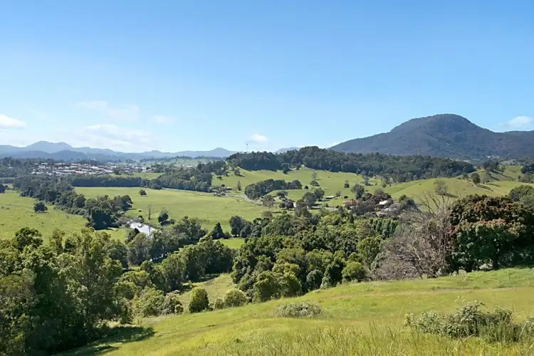 Sixth view of Homely rural property listing, 603 Numinbah Road, Crystal Creek NSW 2484