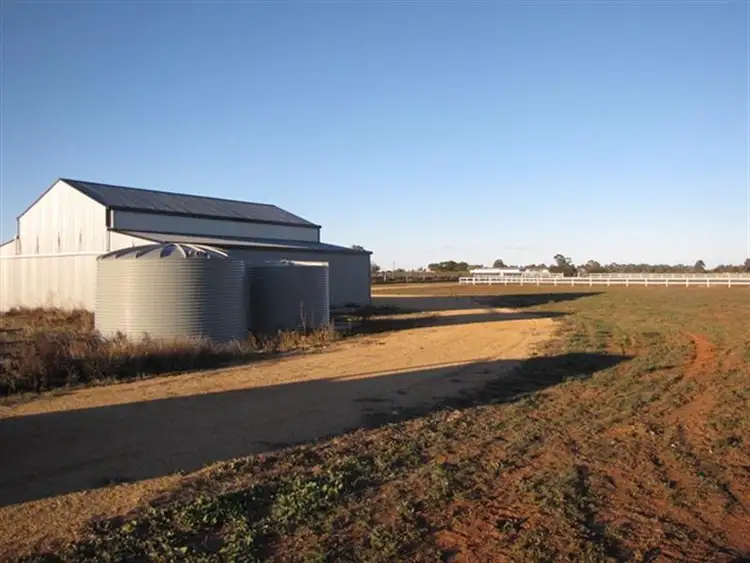 Seventh view of Homely rural property listing, 286 Caddy Road, Loveday SA 5345