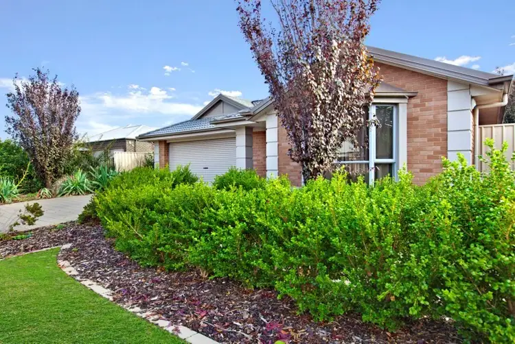 Second view of Homely house listing, 7 Roche Street, Freeling SA 5372