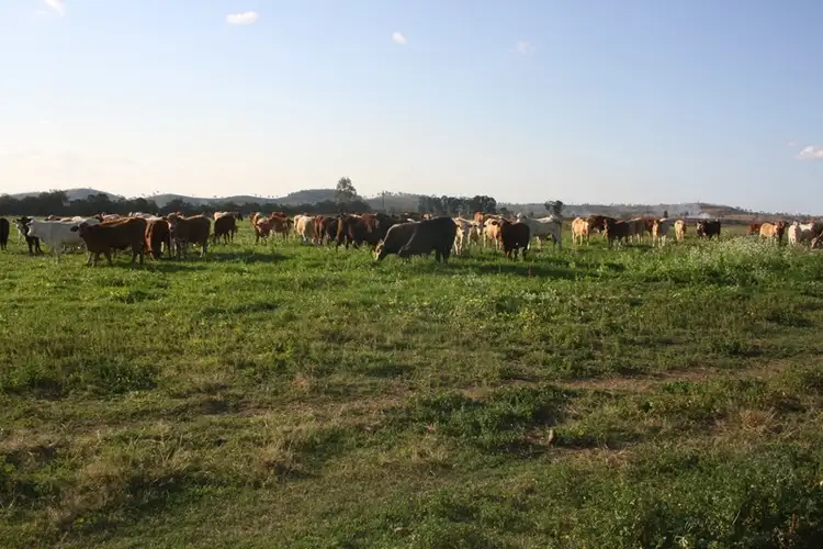 Sixth view of Homely rural property listing, "Washpool" Washpool Road, Gayndah QLD 4625