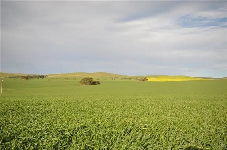 Main view of Homely rural property listing, "Oak Brae" 1197 Petherton Road, Booborowie SA 5417