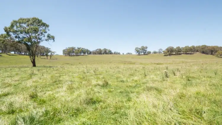 Fourth view of Homely rural property listing, Elderbury 250 Northbrook Road, Guyra NSW 2365