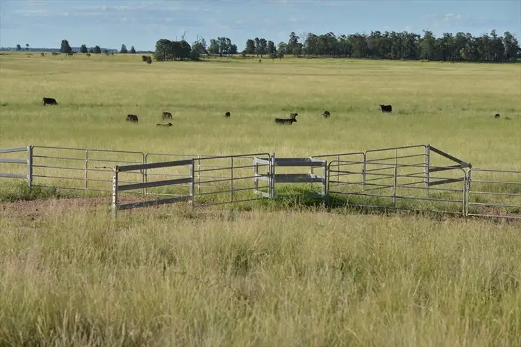 Sixth view of Homely rural property listing, Address available on request