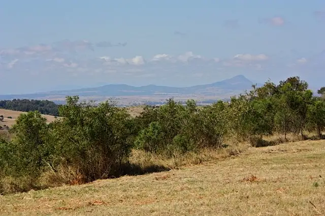 Third view of Homely land listing, 93 Tallegalla Two Tree Hill Road, Tallegalla QLD 4340