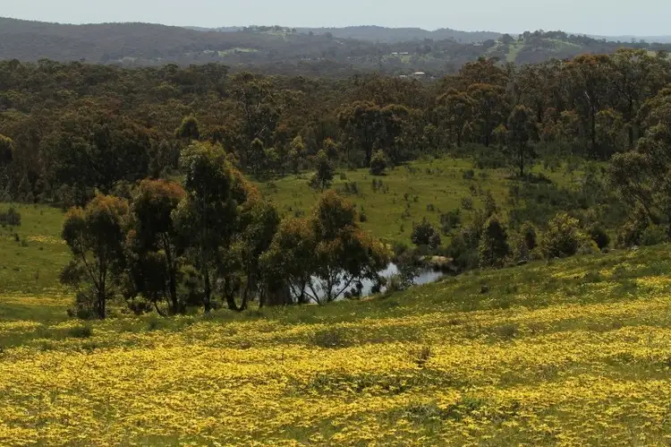 85 Old Dairy Flat Road, Heathcote VIC 3523