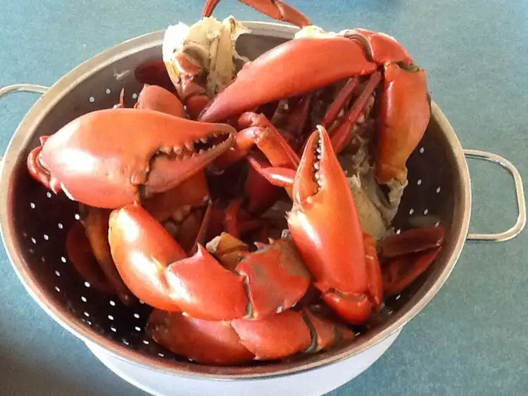 Sixth view of Homely land listing, 153-155 CANAIPA POINT Drive, Russell Island QLD 4184