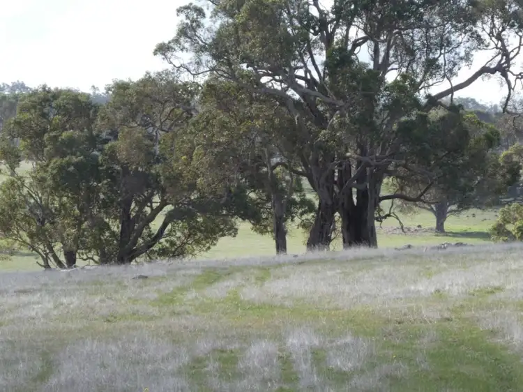Fourth view of Homely rural property listing, Lot 300 Scott Road, Mount Barker WA 6324