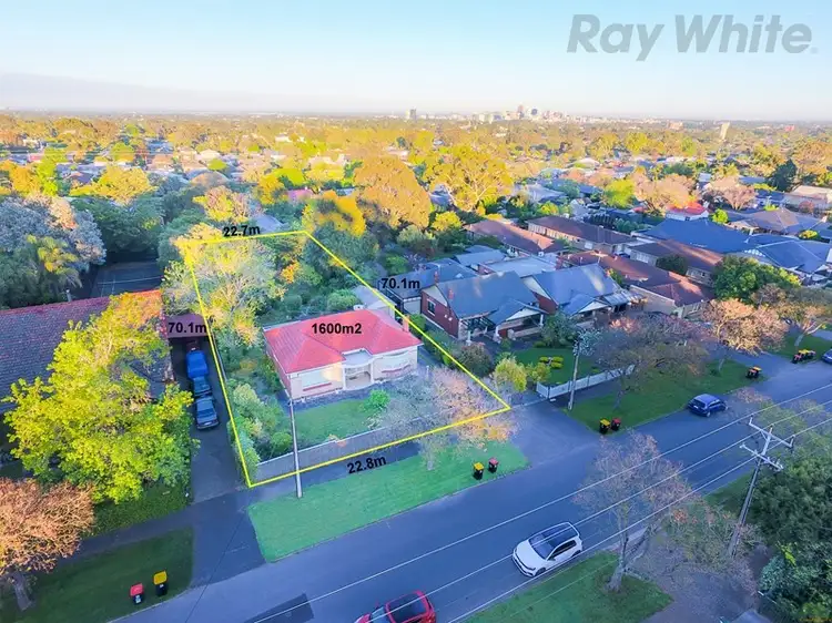 103 Sydney Street, Glenunga SA 5064