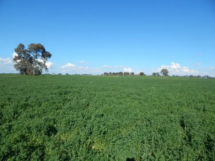 Sixth view of Homely rural property listing, 6138 Olympic Way, Cowra NSW 2794