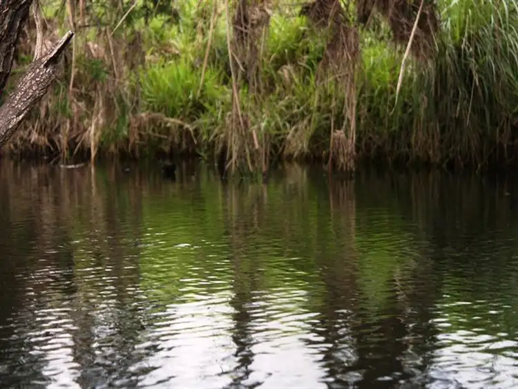 Third view of Homely rural property listing, 124 Monks, Toogoolawah QLD 4313