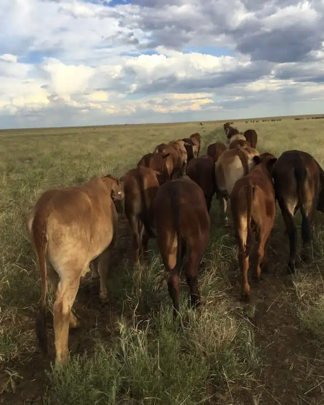 Seventh view of Homely rural property listing, Address available on request