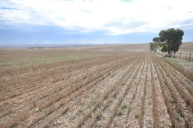 Fourth view of Homely rural property listing, Lot 446 Carmody Road, Leighton SA 5417