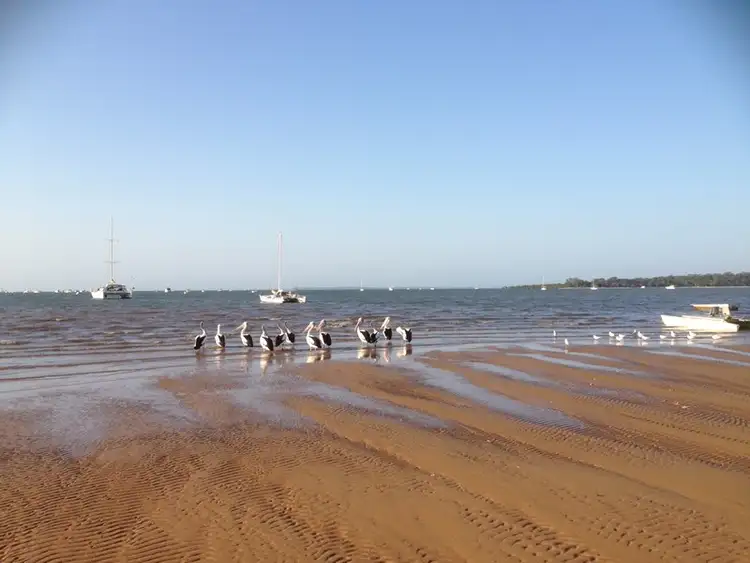 Second view of Homely house listing, 19 Tea Tree Court, Victoria Point QLD 4165