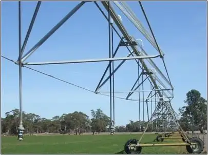 Fourth view of Homely rural property listing, 58 Curnow Road, Bordertown SA 5268