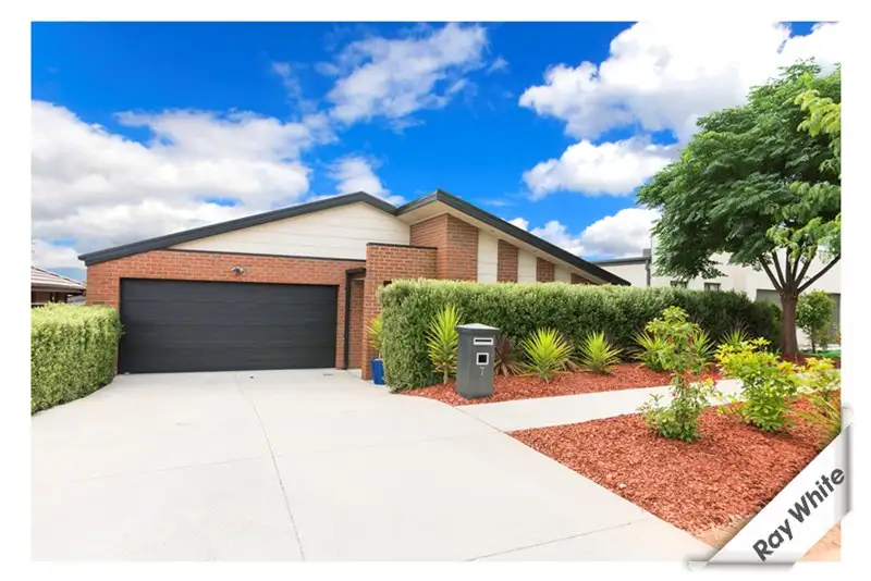 Main view of Homely house listing, 7 Dagmar Berne Street, Macgregor ACT 2615