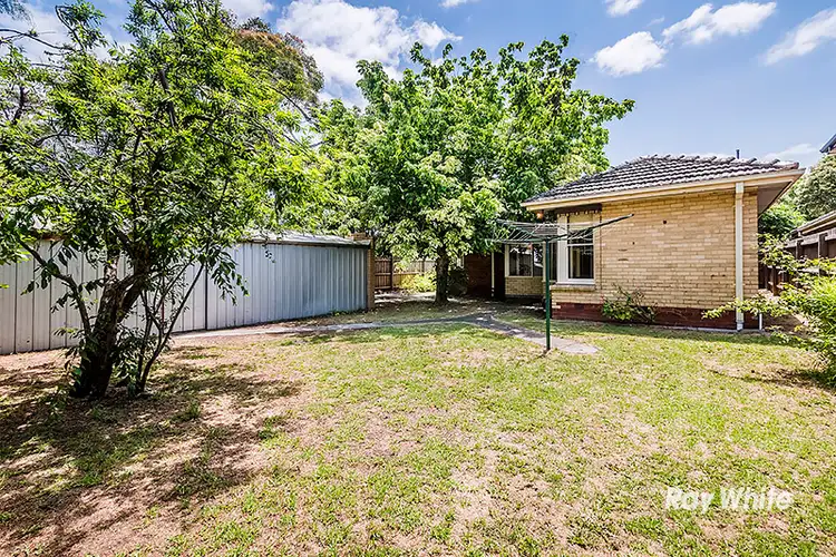 Sixth view of Homely house listing, 19 Katoomba Street, Hampton East VIC 3188