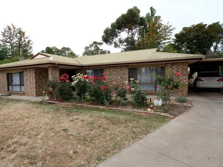 4 Waratah Court, Renmark SA 5341
