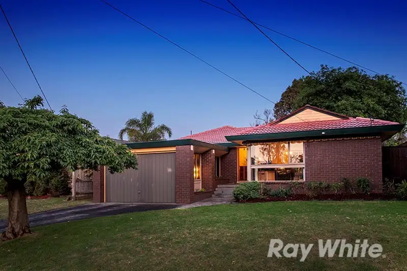 Main view of Homely house listing, 29 Shetland Drive, Wantirna VIC 3152