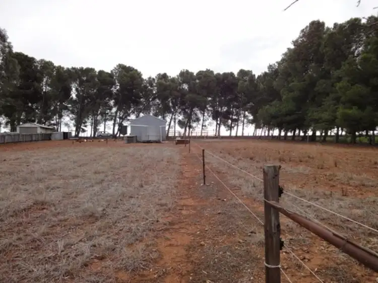 Fourth view of Homely land listing, Lots 7 and 8 Lincoln Avenue, Spalding SA 5454