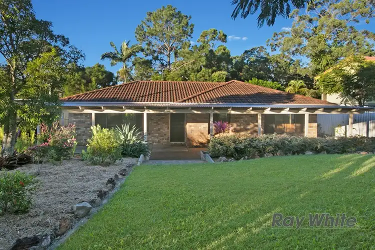 61 Spoonbill Street, Birkdale QLD 4159