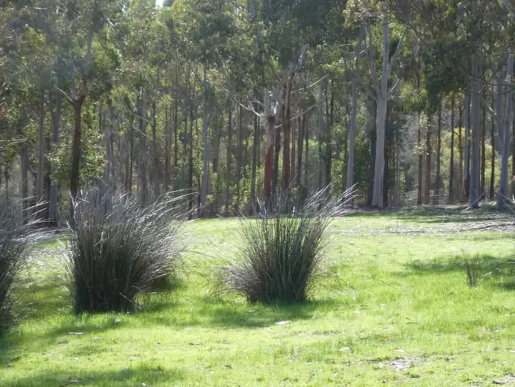 Seventh view of Homely rural property listing, 518 Harvey Road, Denbarker WA 6324