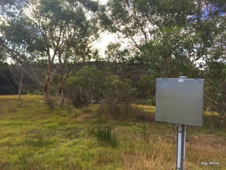 Sixth view of Homely rural property listing, 606 Bombay Road, Braidwood NSW 2622