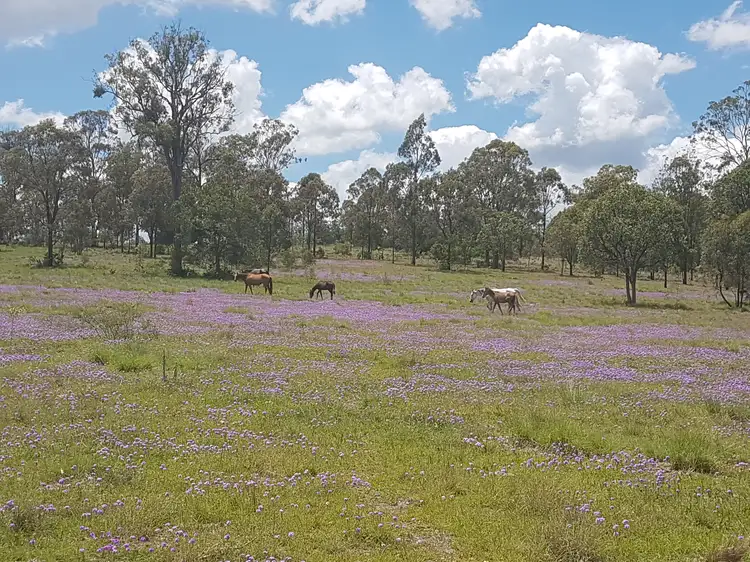 Seventh view of Homely rural property listing, 3303 New England Highway, Cooyar QLD 4402