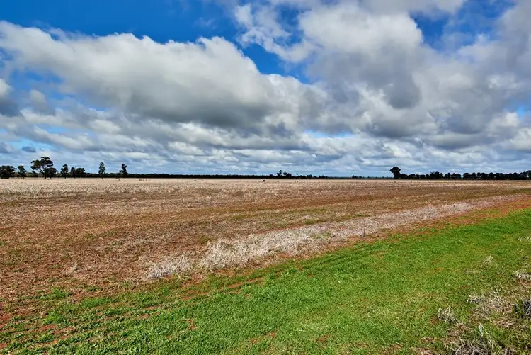 Third view of Homely rural property listing, 3493 Strontian Road, Narrandera NSW 2700