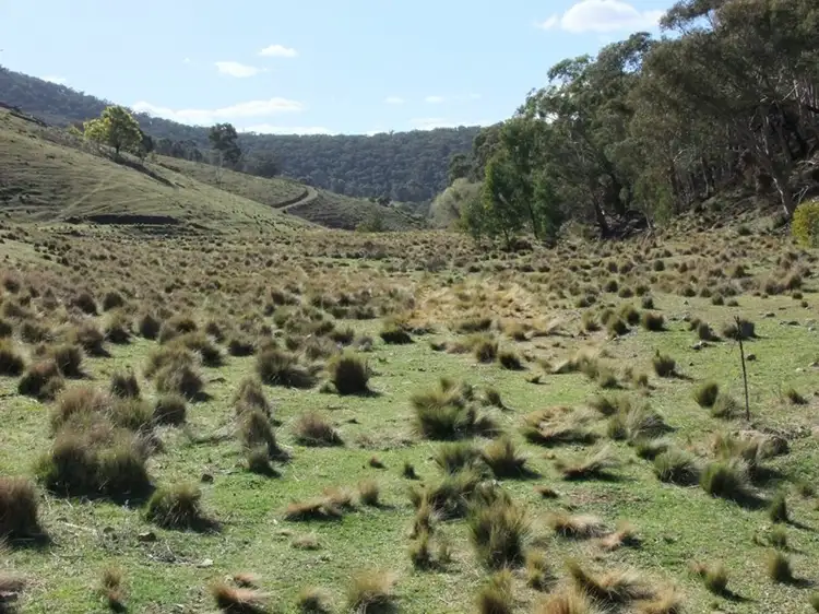 Second view of Homely rural property listing, Address available on request