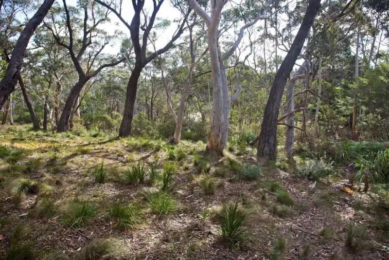 Main view of Homely land listing, Block 6 - Lot 176, 174 and 123 DP 16449 - 36 Godson Avenue, Blackheath NSW 2785
