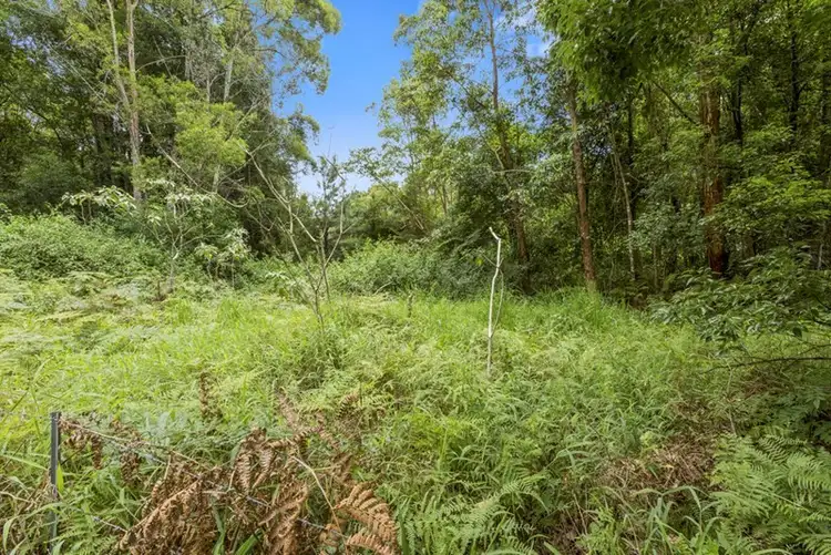 Third view of Homely rural property listing, Lot 3 Booka Road, Upper Crystal Creek NSW 2484
