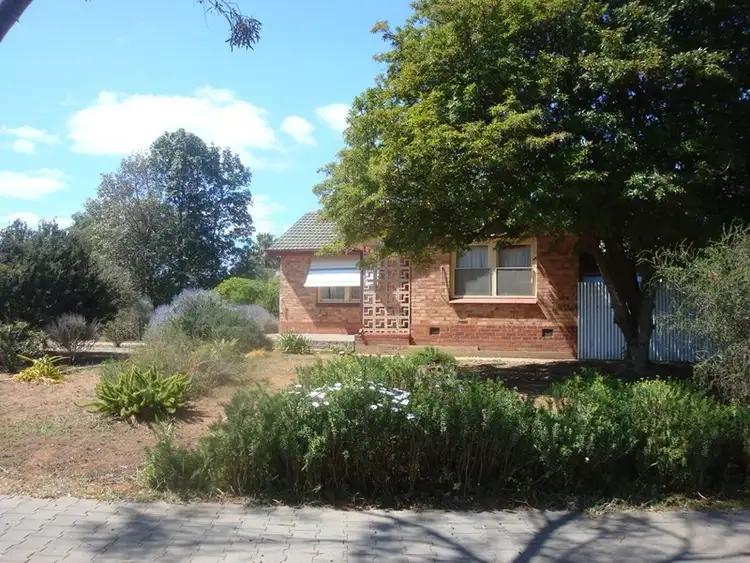 Fifth view of Homely house listing, 8 Campbell Road, Elizabeth Downs SA 5113